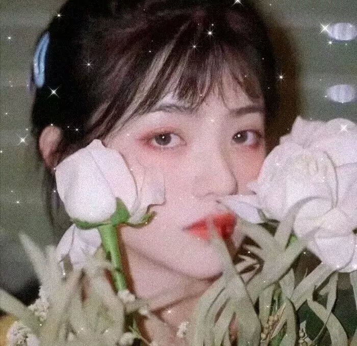 公子倾城